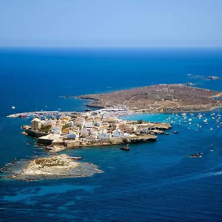 The Old Town Artist Workshop, Impressive Rooftop, Terrace With Amazing Views And Sea Views, Bbq, Air Conditioner, Wifi דירה אליקאנטה